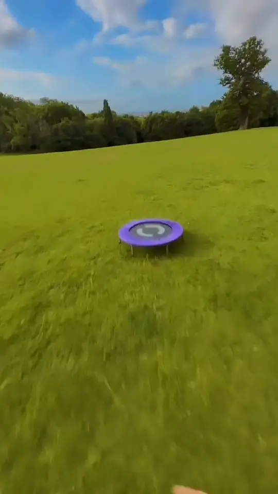 A purple object skims across an open green field towards the horizon